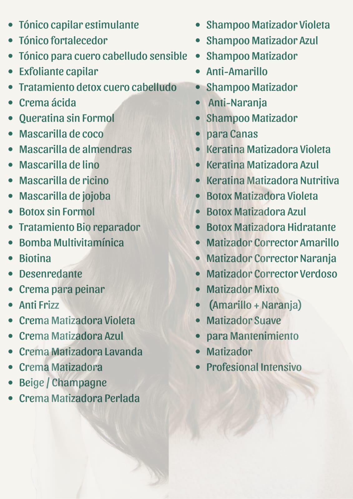 Manual Profesional de Elaboración de productos capilares + 12 Bonos de regalo