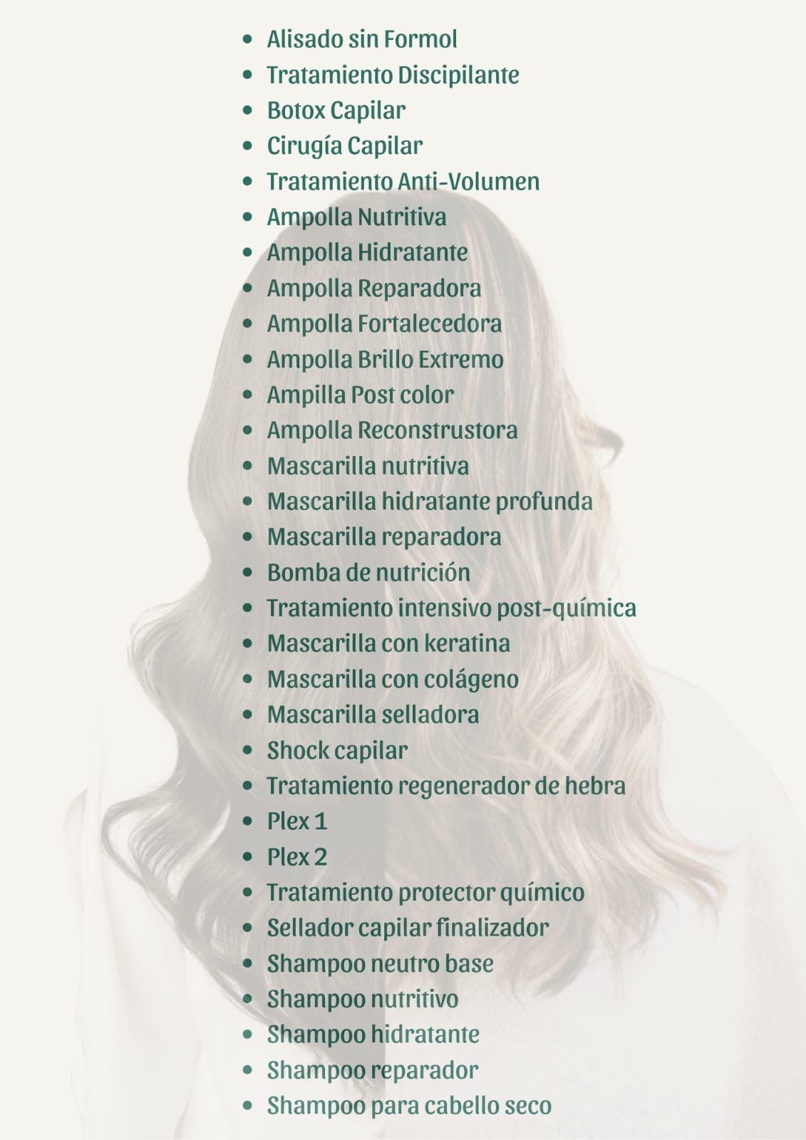 Manual Profesional de Elaboración de productos capilares + 12 Bonos de regalo